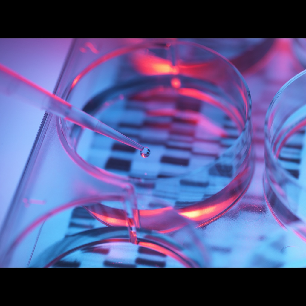Amplirun Treponema Pallidum DNA Control  700