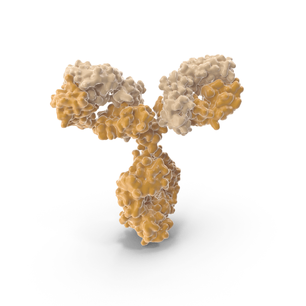 Anti-Okadaic Acid monoclonal antibody, clone 9G3