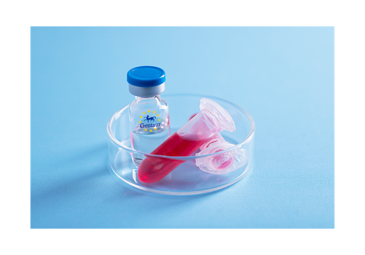 [GEN - PYT447-5ug] Visfatin Mouse